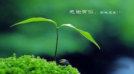 dc6761262c1be651b4ca1fb15ce1d964_13-140926103210436.jpg