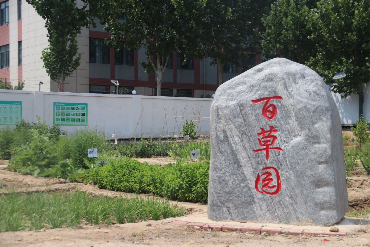 从百草园到端午节，一堂“有味道”的实践课